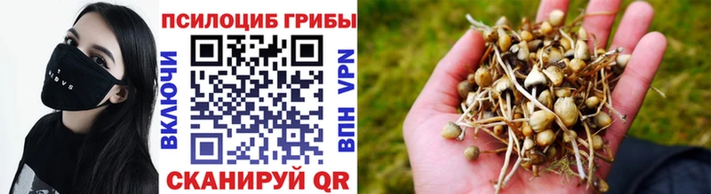 Купить  Меленки  Псилоцибиновые грибы ЛСД 