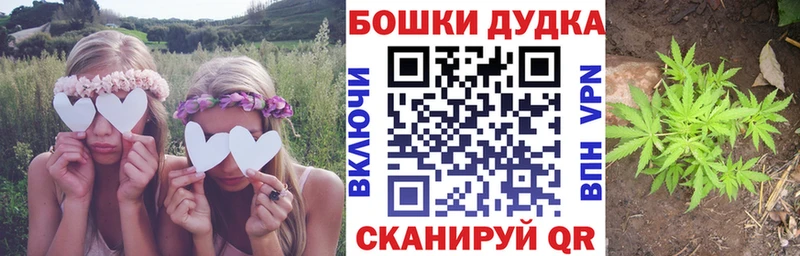 Бошки марихуана SATIVA & INDICA  Купить где  Меленки 